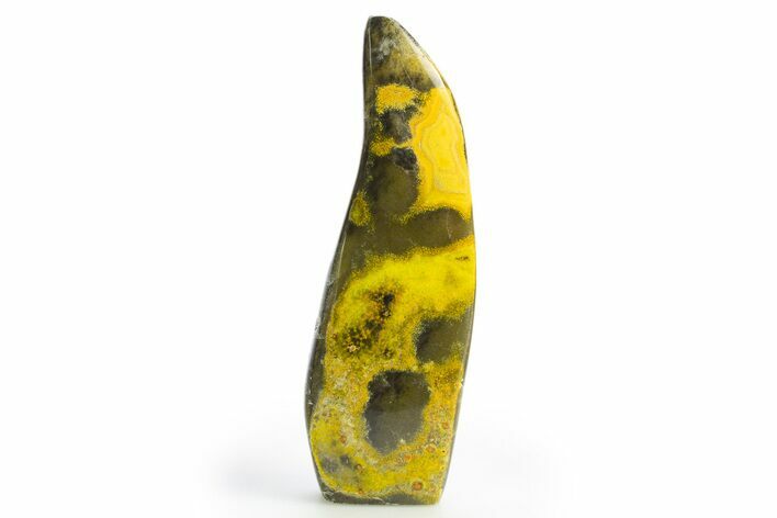 Very Vibrant, Free-Standing Polished Bumblebee Jasper #312056